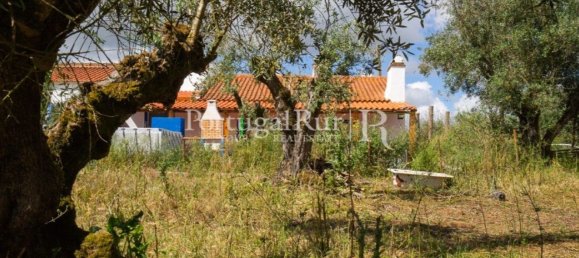 4 bedrooms House in Montemor o Novo, Portugal No. 15078 5