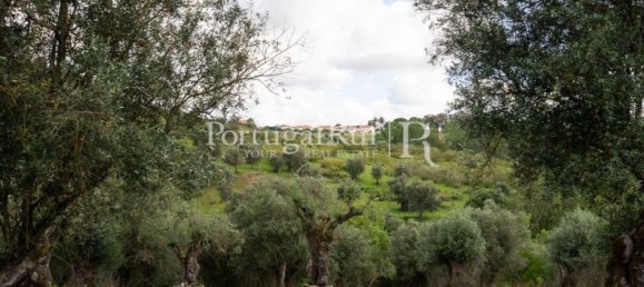 4 bedrooms House in Montemor o Novo, Portugal No. 15078 12