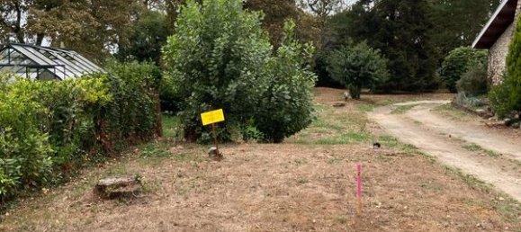  Land in Narrosse, France No. 319802 3