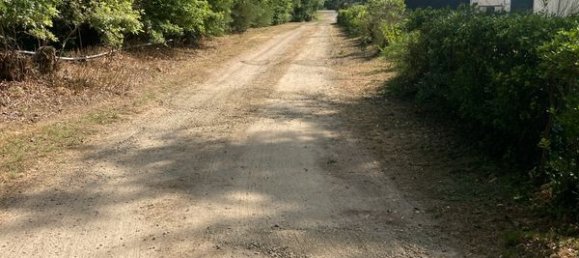  Land in Narrosse, France No. 319802 2