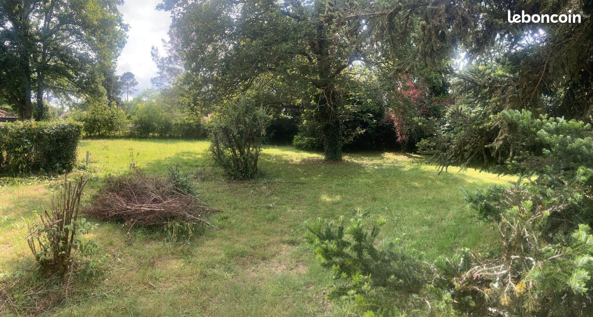  Land in Narrosse, France No. 319802