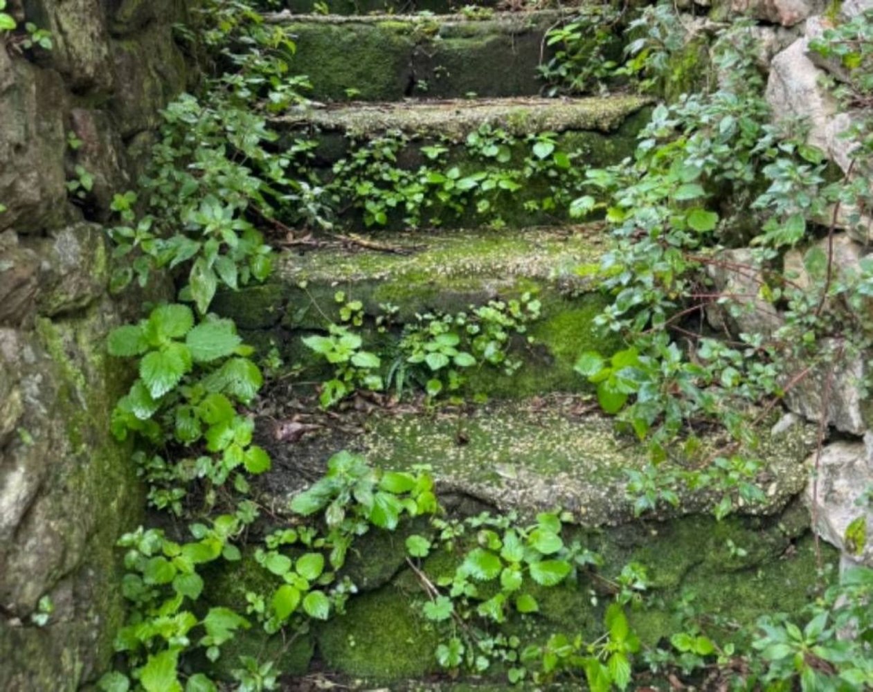 Grundstück in Cori, Italy 85m², Nr. 376994