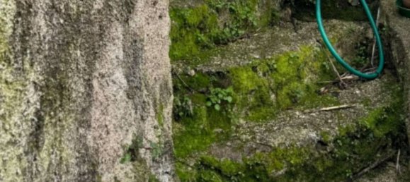 Grundstück in Cori, Italy 85m², Nr. 376994 6