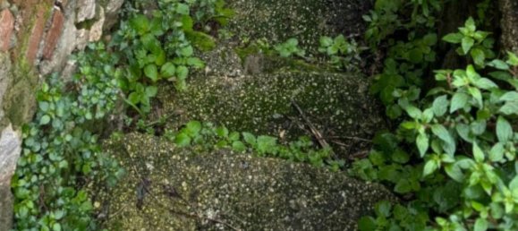 Grundstück in Cori, Italy 85m², Nr. 376994 4