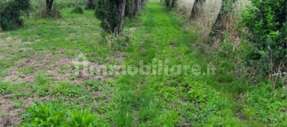 2 bedrooms House in Sarzana, Italy No. 293438 4