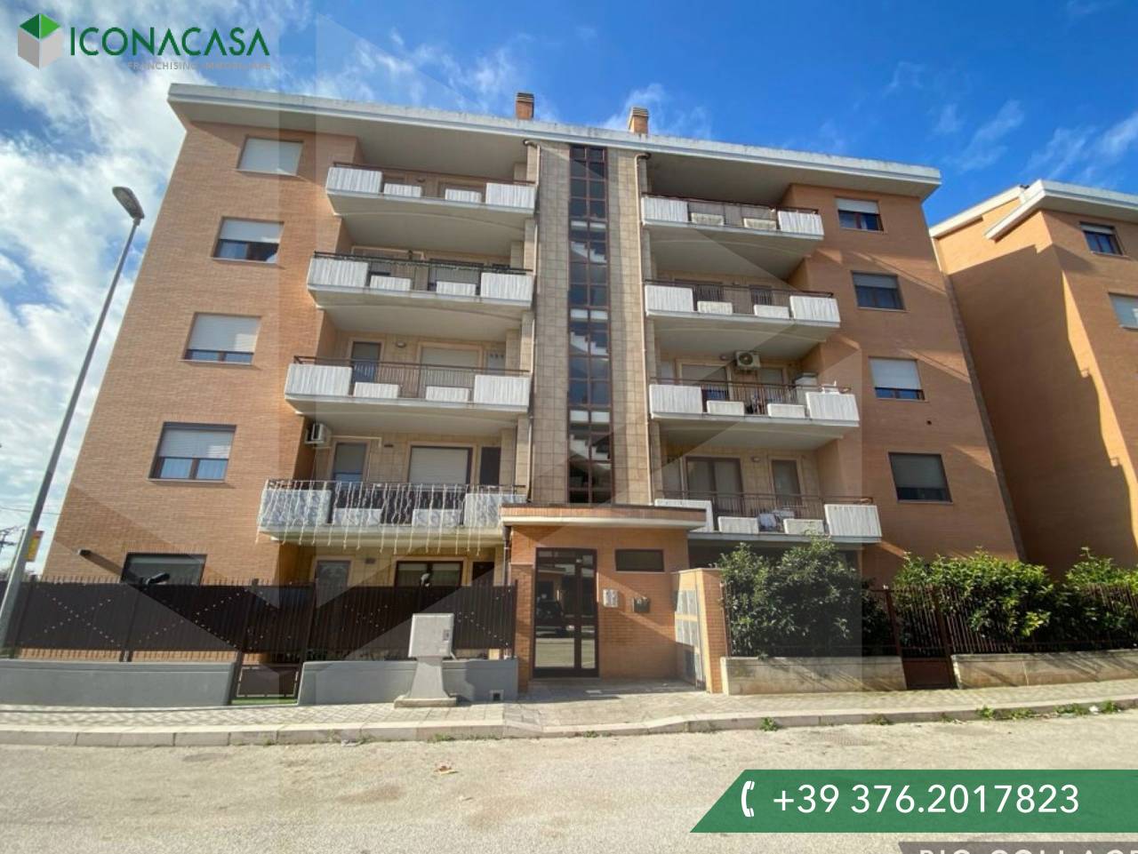 2 rooms Apartment in San Severo, Italy No. 19682