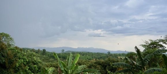 2 bedrooms Cafe / restaurant in Chiang Mai, Thailand No. 11506 18