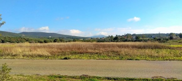 100058m² Hotel in Polygyros, Greece No. 5821 8