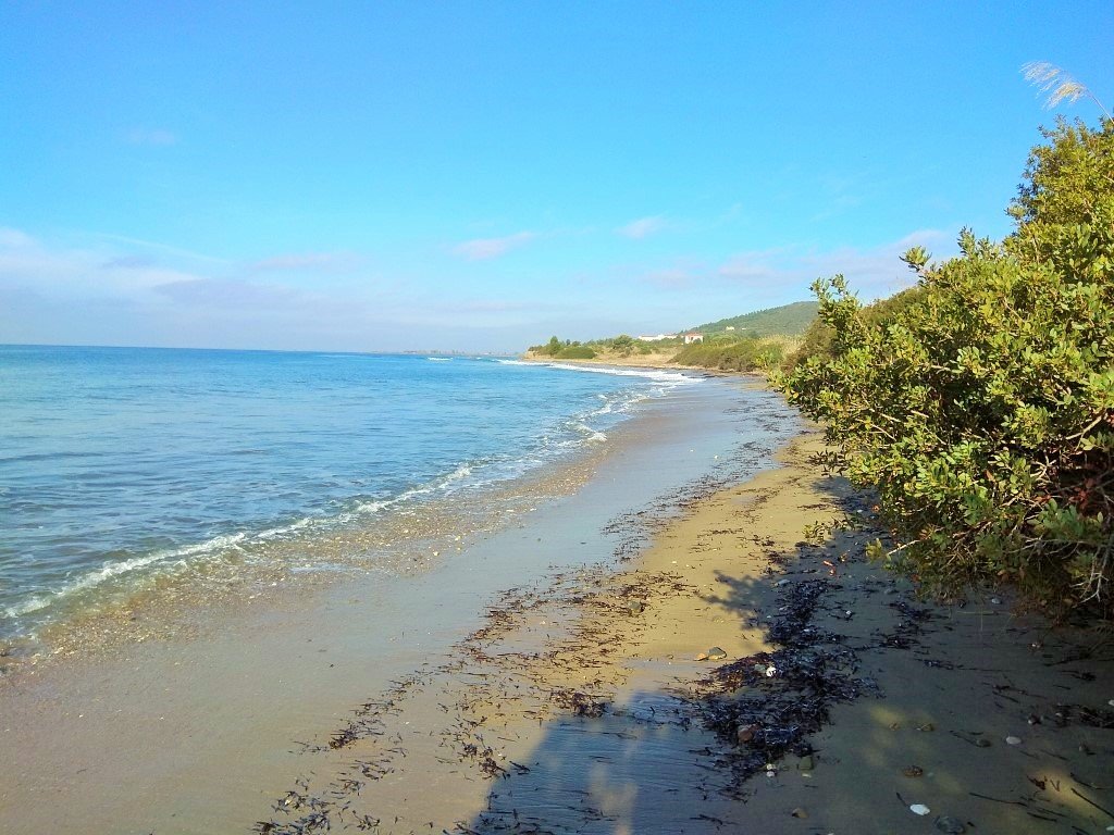 100058m² Hotel in Polygyros, Greece No. 5821