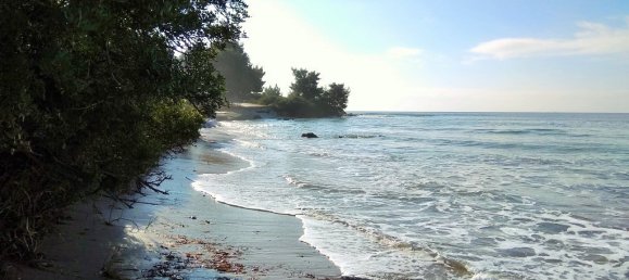 100058m² Hotel in Polygyros, Greece No. 5821 2