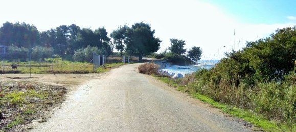 100058m² Hotel in Polygyros, Greece No. 5821 5