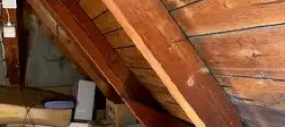 1 غرف نوم منزل في Vogtlandkreis, Germany رقم 41658 37