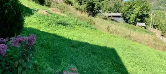 1 غرف نوم منزل في Vogtlandkreis, Germany رقم 41658 24