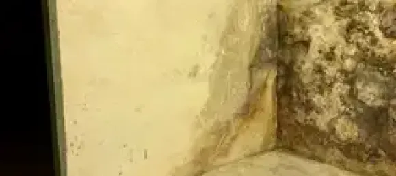 1 غرف نوم منزل في Vogtlandkreis, Germany رقم 41658 8