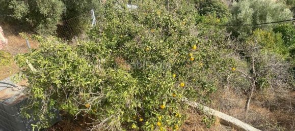 6 bedrooms House in Canillas de Aceituno, Spain No. 144250 38