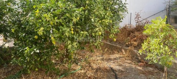 6 bedrooms House in Canillas de Aceituno, Spain No. 144250 36