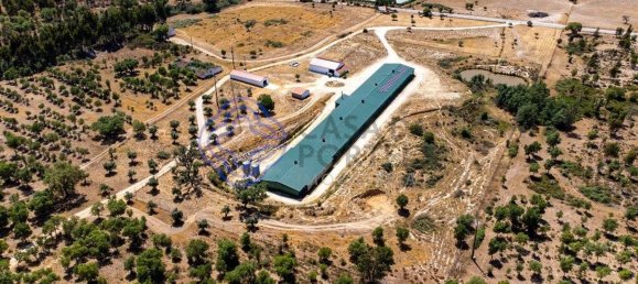 3 غرف نوم منزل في Abrantes, Portugal رقم 82161 8