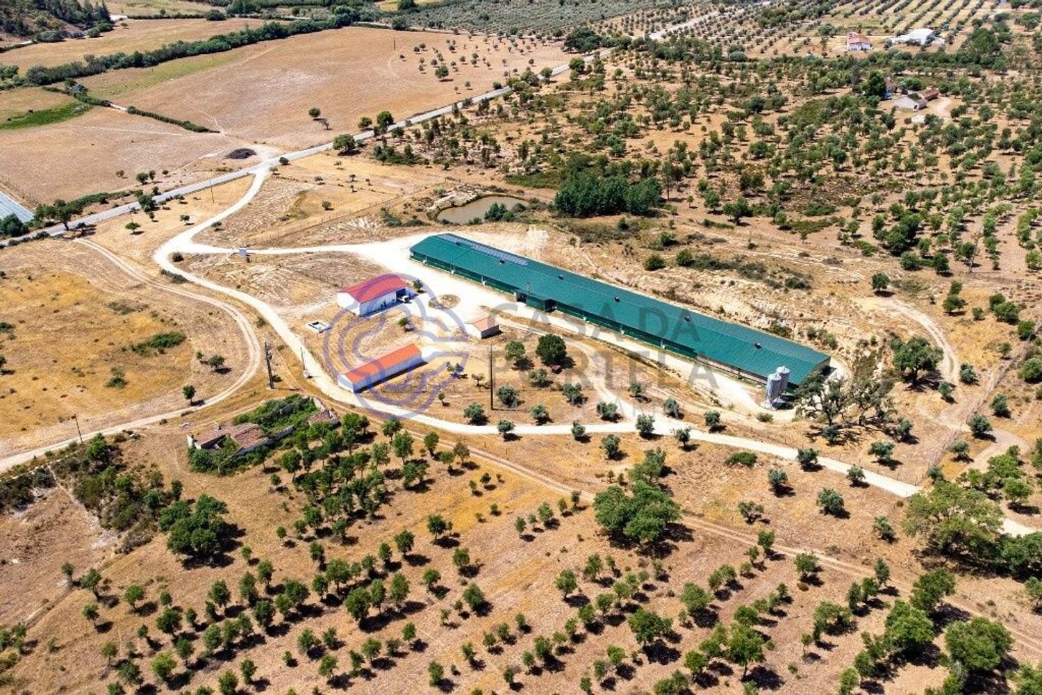 3 غرف نوم منزل في Abrantes, Portugal رقم 82161