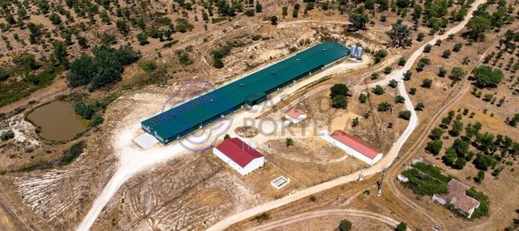 3 غرف نوم منزل في Abrantes, Portugal رقم 82161 6