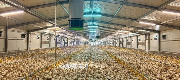 3 غرف نوم منزل في Abrantes, Portugal رقم 82161 44