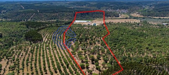 3 غرف نوم منزل في Abrantes, Portugal رقم 82161 42