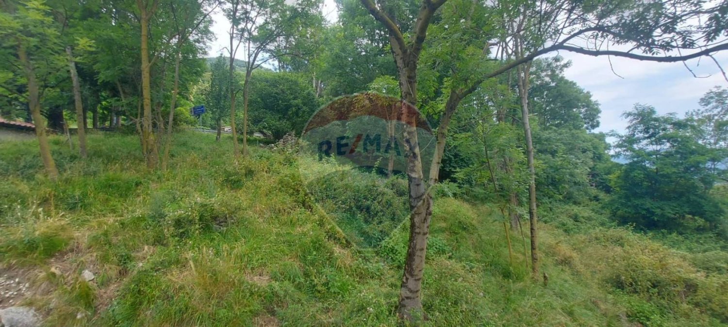 4650m² Land in Duno, Italy No. 78928