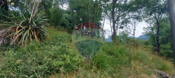 4650m² Land in Duno, Italy No. 78928 6