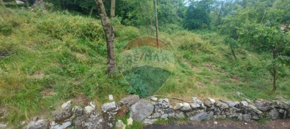 4650m² Land in Duno, Italy No. 78928 3