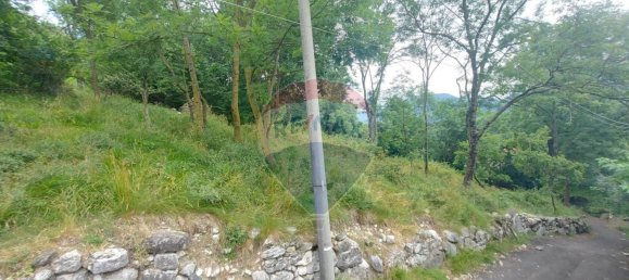 4650m² Land in Duno, Italy No. 78928 2