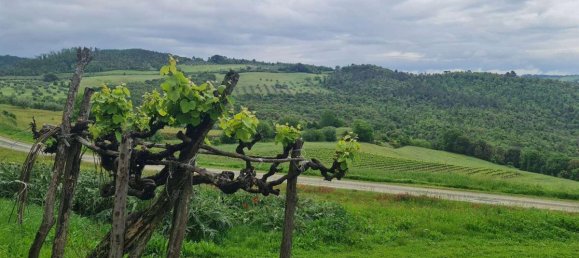Studio in Volterra, Italy No. 1545 12