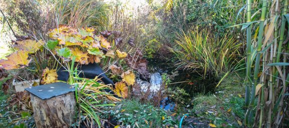 Дом с 5 комнатами в Растенфельд, Австрия № 69669 6