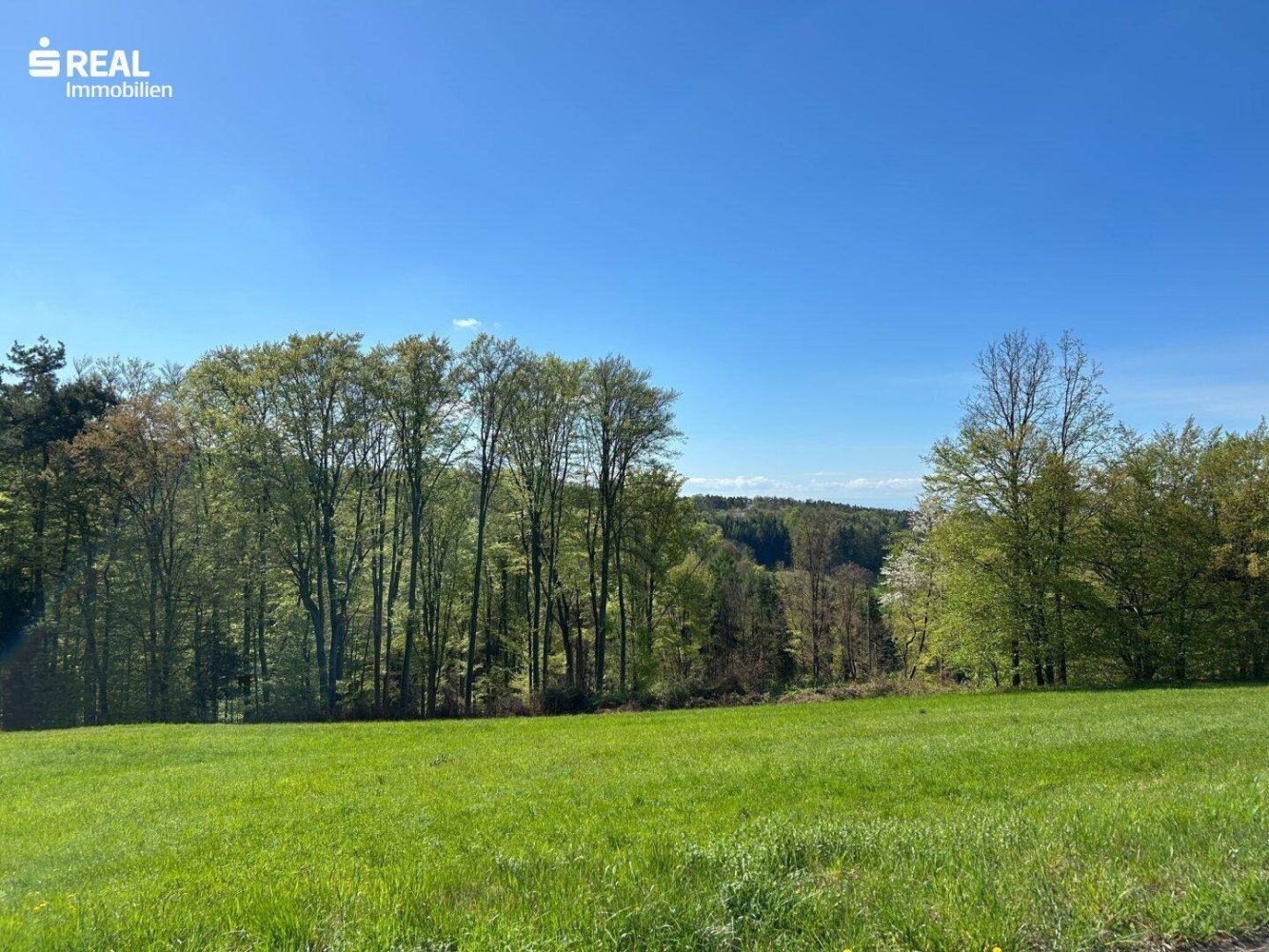  قطعة أرض في Kainbach bei Graz, Austria 8799متر مربع رقم 163458