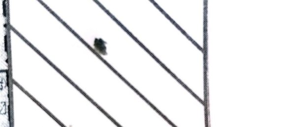 Casa de 3 divisões em Ladispoli, Italy N.º 277420 9