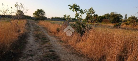 Casa de 3 divisões em Ladispoli, Italy N.º 277420 2