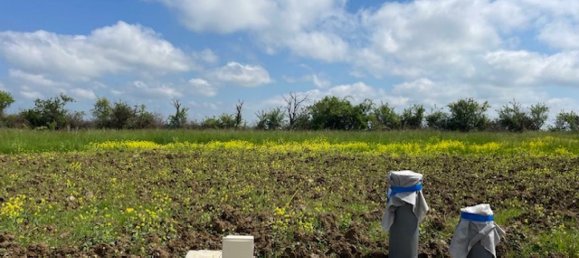 Terreno en Haraucourt, France No. 75755 2