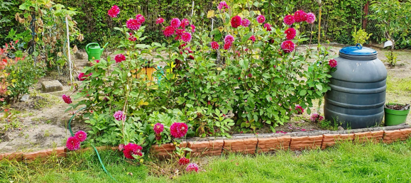 2-Zimmer Bungalow in Potsdam-Mittelmark, Germany, Nr. 325401 7