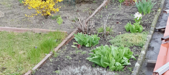 2-Zimmer Bungalow in Potsdam-Mittelmark, Germany, Nr. 325401 8