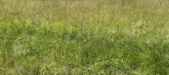  Land in Oberwart, Austria No. 38703 2