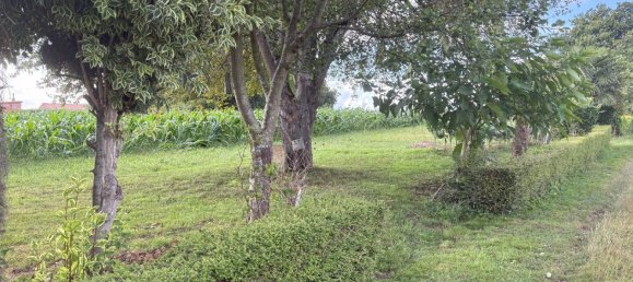 Terreno en Abegondo, Spain 1431 m² No. 186291 4