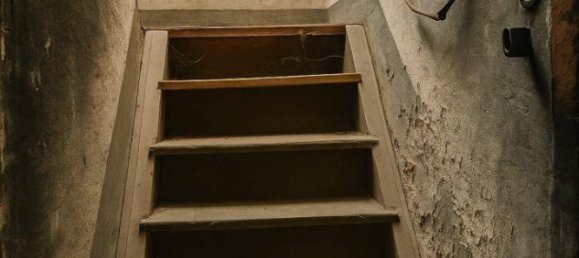 2 rooms House in Illmitz, Austria No. 259040 2