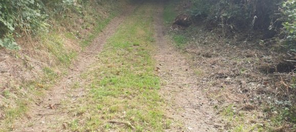 4 غرف نوم منزل في Preveranges, France رقم 245213 7