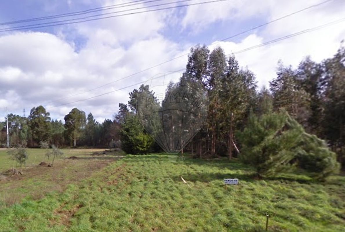 Imóvel comercial em Anadia, Portugal 4650 m² N.º 76482