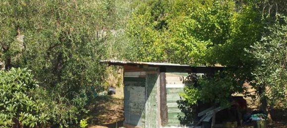 Земельный участок 4040м² в Монте Арджентарио, Италия № 85359 8