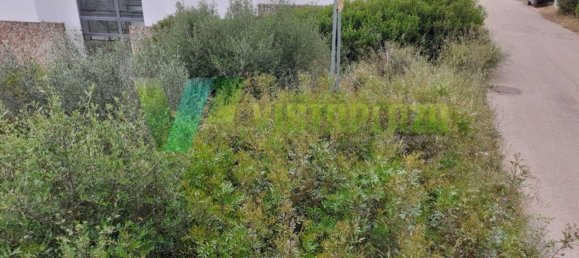 Grundstück in Mexilhoeira Grande, Portugal, Nr. 203124 11