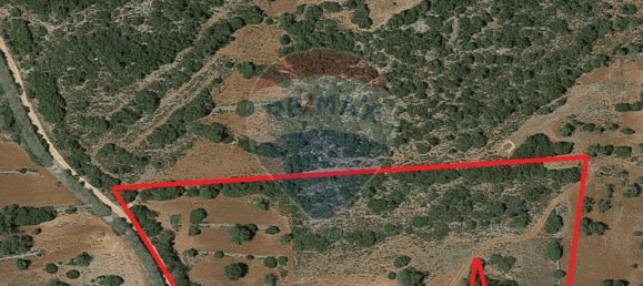 13040m² Land in Faro, Portugal No. 47556 5