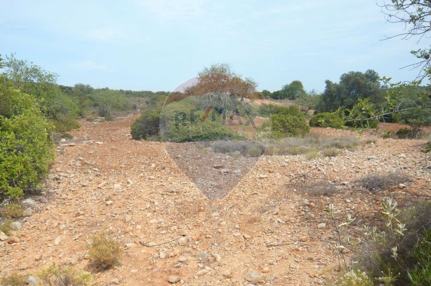 13040m² Land in Faro, Portugal No. 47556