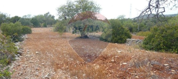 13040m² Land in Faro, Portugal No. 47556 2