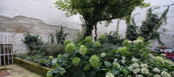 2 rooms Apartment in Wahring, Austria No. 207115 14