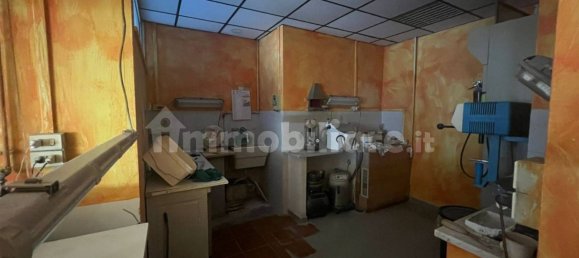 2غرفة عقار تجاري في Rome, Italy رقم 355015 4