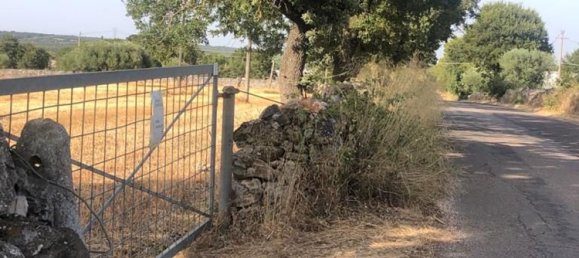 Земельный участок 8000м² в Моттола, Италия № 251090 3